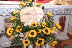 COMUNIONE-2026-003