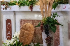COMUNIONE-2022-005