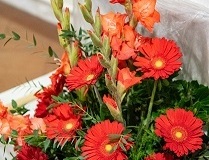 CRESIMA-2021-005