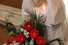 CRESIMA-2022-005