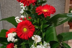 CRESIMA-2022-006