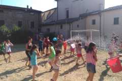 GREST20194