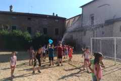 GREST20195