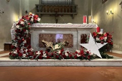NATALE-2024-005 NATALE-2024-005