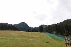APRICA-1